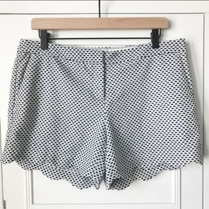 Cynthia Rowley | Navy Dot Scallop Hem Shorts | 12